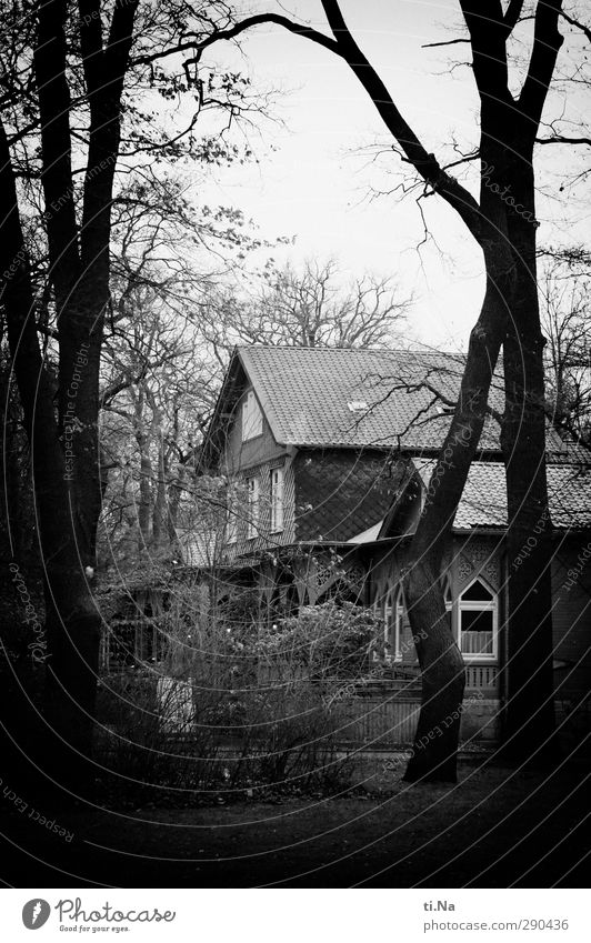 Braunschweig Winter schlechtes Wetter Baum Park Traumhaus Häusliches Leben alt dunkel gruselig grau schwarz silber weiß Schwarzweißfoto Außenaufnahme Tag Abend