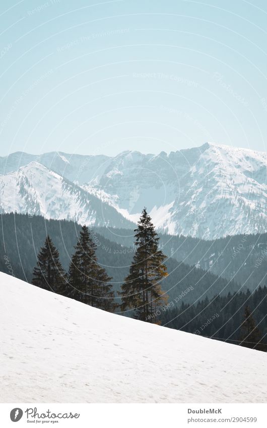 Alpenlandschaft mit Schnee, Tannen und Bergen Ausflug Ferne Freiheit Berge u. Gebirge wandern Natur Landschaft Luft Himmel Wolkenloser Himmel Schönes Wetter