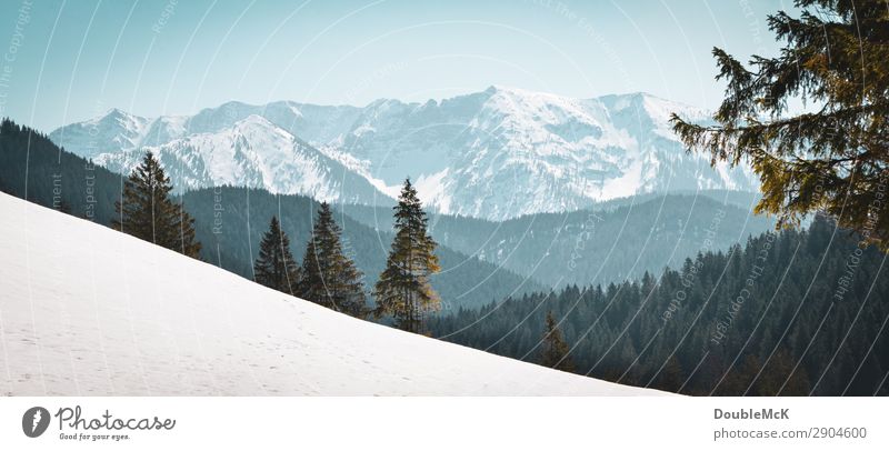 Alpenlandschaft mit Tannen, Schnee und Bergen Ausflug Ferne Freiheit Berge u. Gebirge wandern Natur Landschaft Luft Himmel Wolkenloser Himmel Schönes Wetter
