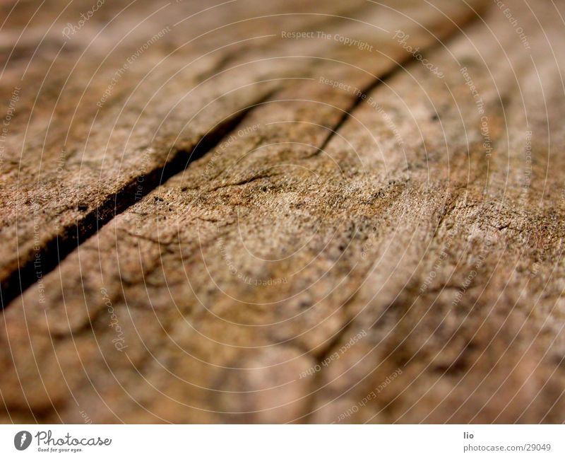 wood Holz trocken Baumstamm Maserung Riss Makroaufnahme