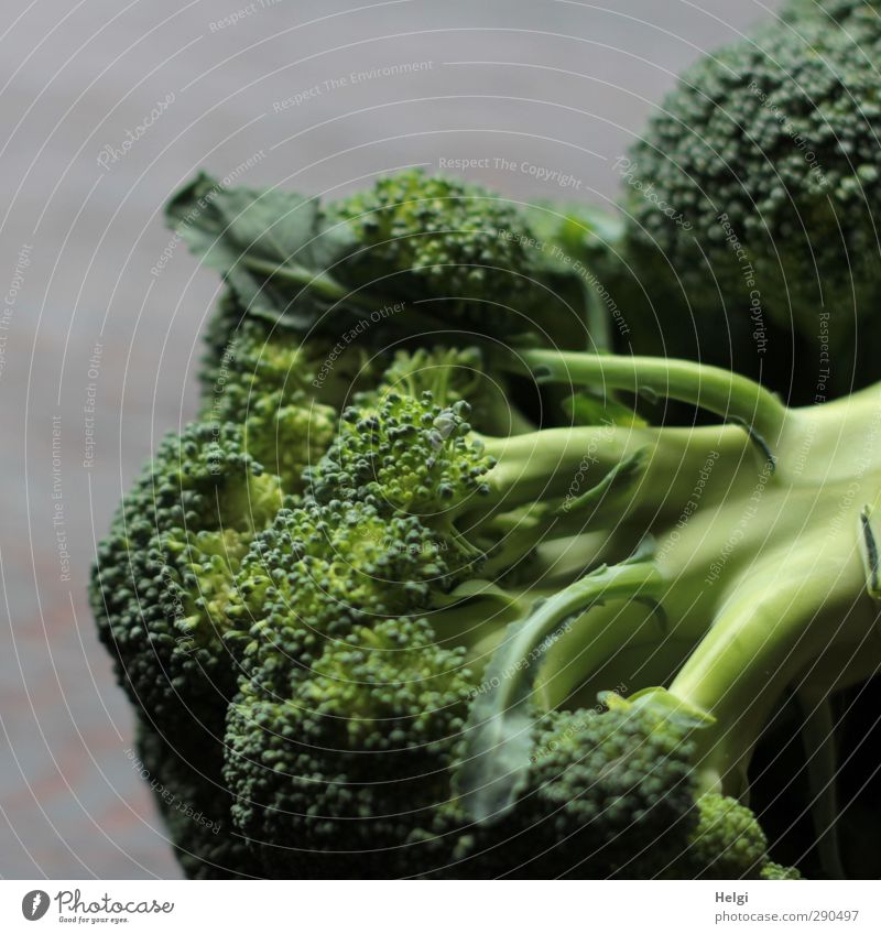 Vitamine... Lebensmittel Gemüse Brokkoli Ernährung Vegetarische Ernährung Diät liegen authentisch einfach frisch Gesundheit natürlich braun grün ästhetisch