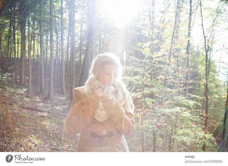 highlight feminin Junge Frau Jugendliche 1 Mensch 18-30 Jahre Erwachsene Umwelt Natur Wald schön Herbst Farbfoto Außenaufnahme Tag Licht Sonnenlicht