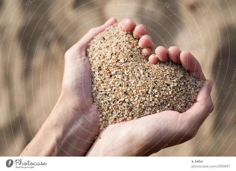 L.O.V.E. is in your hands Hand Strand Meer Sand Zeichen Herz positiv braun gold Glück Liebe Verliebtheit Romantik Liebeskummer ästhetisch Einsamkeit Formation
