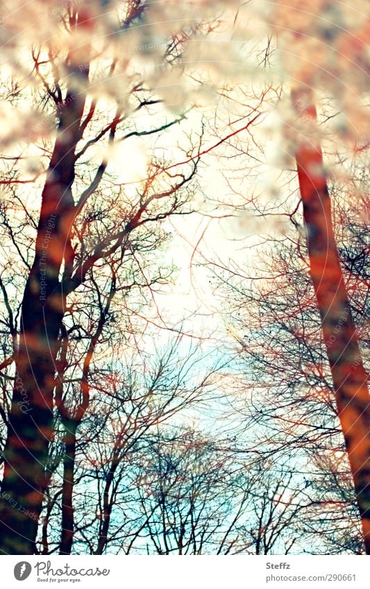 herbstliche Spiegelung im Herbstwald Verzerrung malerisch träumen anders Eindruck Lichtstimmung Vergänglichkeit Sinn verträumt herbstliche Impression