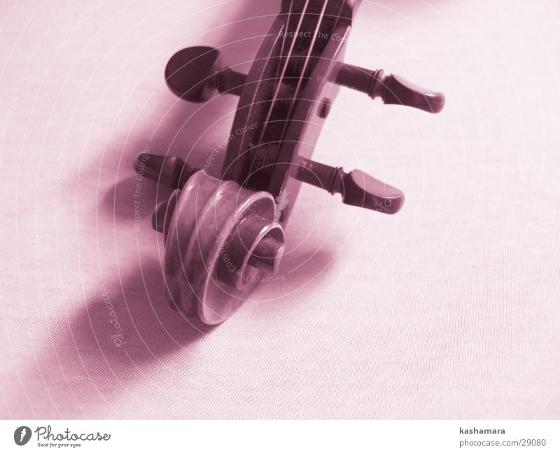 Pink-Violin II Spielen Musik Konzert Orchester Geige Musiknoten Holz violett rosa Innenaufnahme