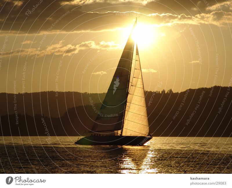 ...sooo schön kann segeln sein... Sommer Sonne Sport Segeln Wasser Himmel Wolken Horizont See Segelboot Segelschiff Wasserfahrzeug braun gold