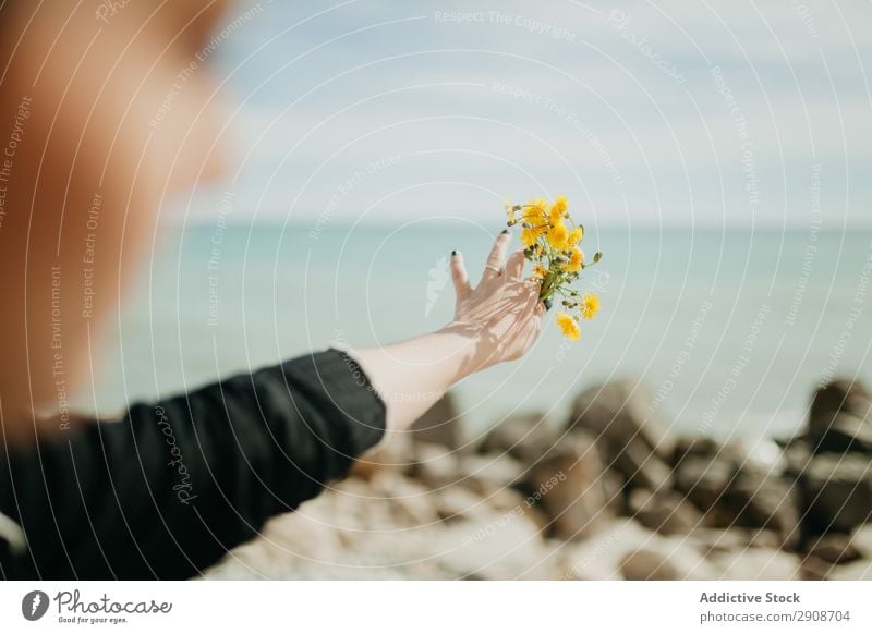 Anonyme Frau, die Blumen ins Meer wirft. Werfen Klippe Resort Sonnenstrahlen Tag Jugendliche Blüte Natur Ausflug Ferien & Urlaub & Reisen Tourismus ruhen