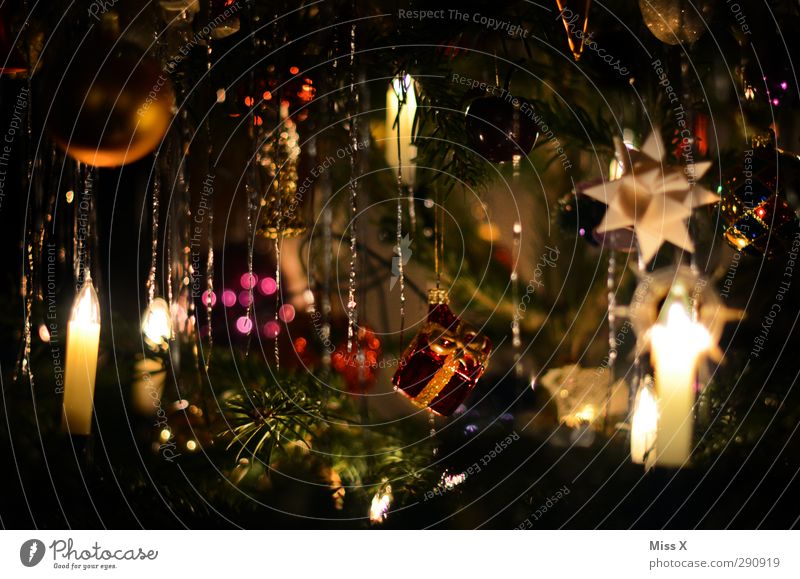 Nostalgie Weihnachten & Advent leuchten glänzend gold Weihnachtsbaum Christbaumkugel Stern (Symbol) Fröbelstern Weihnachtsbeleuchtung Kerze Kerzenschein Lametta