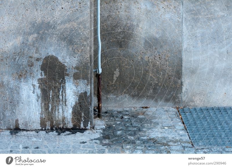 Markierung Stadt Menschenleer Mauer Wand Hund Ekel hässlich Hinterlassenschaft Urin Farbfoto Gedeckte Farben Außenaufnahme Detailaufnahme Tag