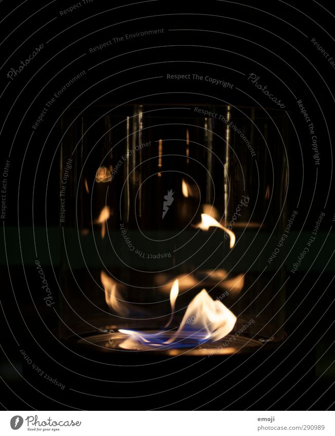 entflammt Feuer Flamme Gas Licht brennen glühen schwarz Farbfoto Nahaufnahme Detailaufnahme Textfreiraum oben Hintergrund neutral Nacht Kunstlicht