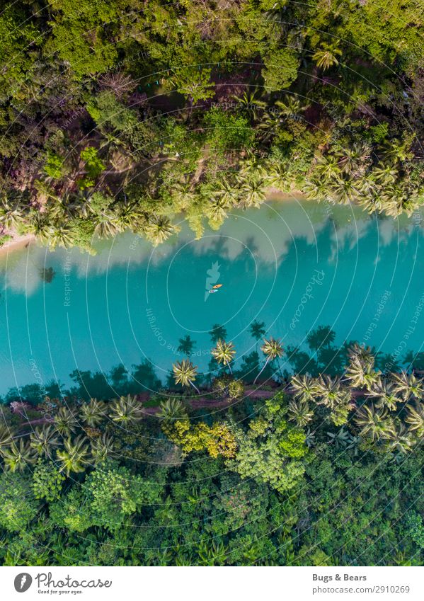 Mit dem Kayak durch den Dschungel Paar Partner 2 Mensch Natur Wasser Schönes Wetter Urwald Flussufer Abenteuer Palme Philippinen Reisefotografie Kajak
