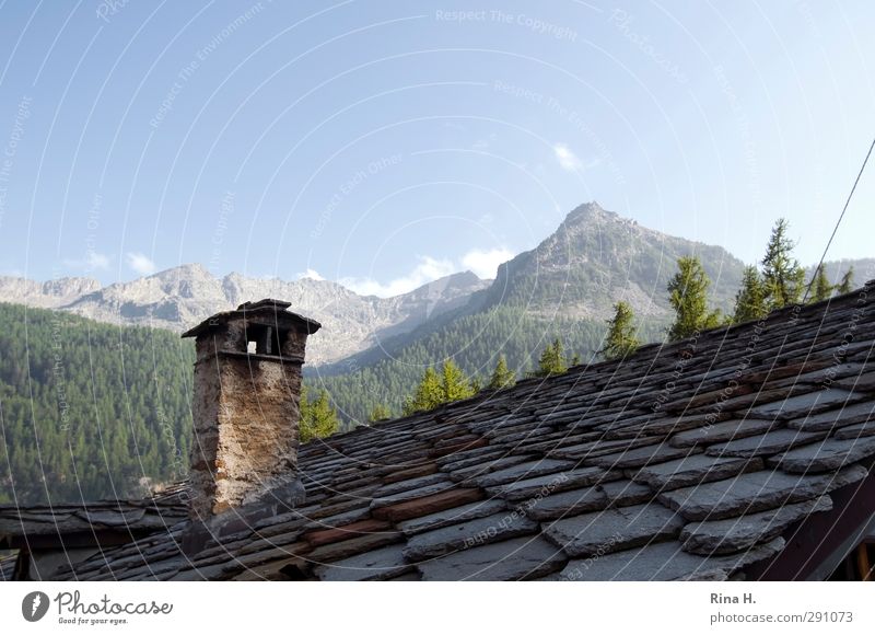 WestAlpen Natur Landschaft Sommer Schönes Wetter Wald Berge u. Gebirge Gipfel Piemonte Italien Haus Gebäude Dach natürlich rustikal Schornstein Holzschindel