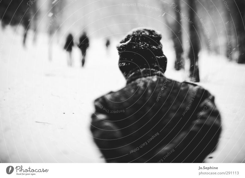 colder Winter Wetter Schnee Schneefall Mensch Spaziergang Wald Mantel Mütze gehen laufen Jahreszeiten verschwommenes Sehen kalt lensbaby Schwarzweißfoto