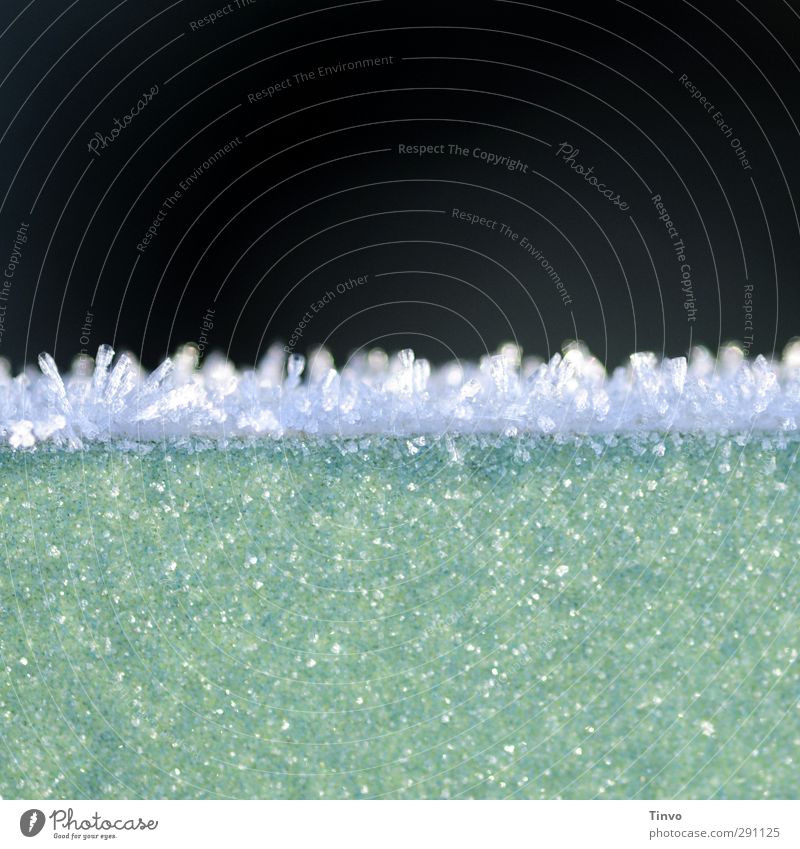 Frostschicht mit Eiskristallrand Natur Winter kalt schwarz türkis weiß gefroren Urelemente Miniatur Farbfoto Außenaufnahme Nahaufnahme Menschenleer