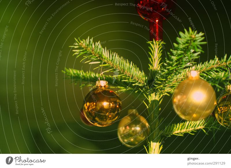 Er grünte so grün. Dekoration & Verzierung Kugel gold Weihnachtsbaum Weihnachten & Advent Weihnachtsdekoration Christbaumkugel verschönern Tanne Tannennadel