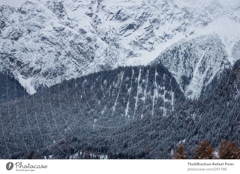 Bergwelt Umwelt Natur Landschaft schlechtes Wetter Eis Frost Schnee Engadin Schweiz braun grün schwarz weiß Wald Lawine Abholzung Schneise Felsen