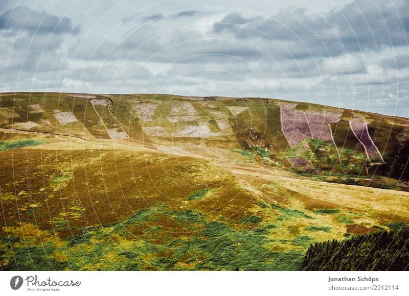 Pentland Hills nahe Edinburgh, Schottland Berge u. Gebirge wandern Natur Landschaft Urelemente Luft Himmel Sommer Klima Schönes Wetter Feld grün Ausblick