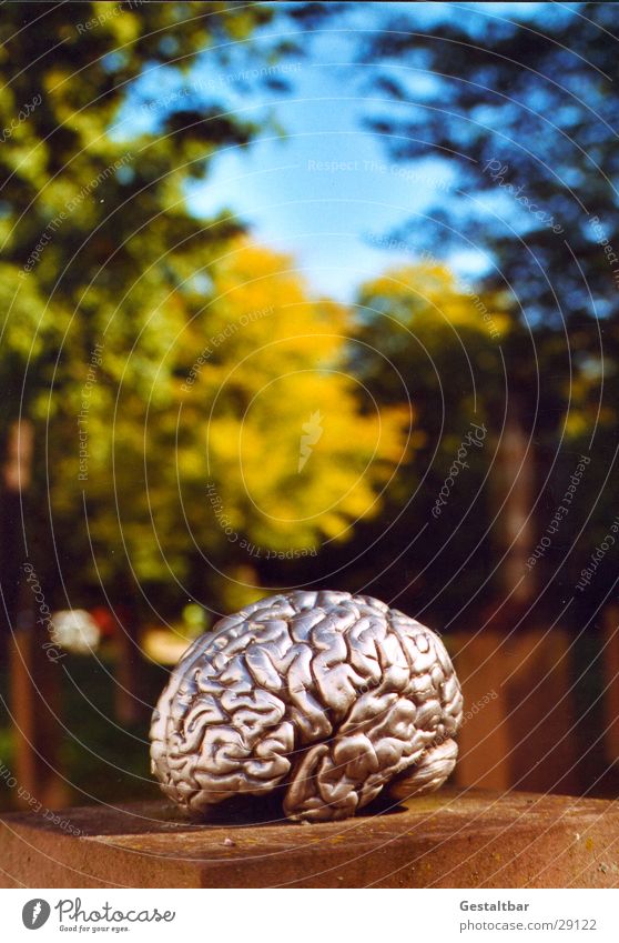 künstliche Intelligenz Gehirn u. Nerven Sockel Kunstwerk Dinge klug Wissenschaften gestaltbar Ausstellung Gesundheit silber Gehirnlandschaft gestellt Denken