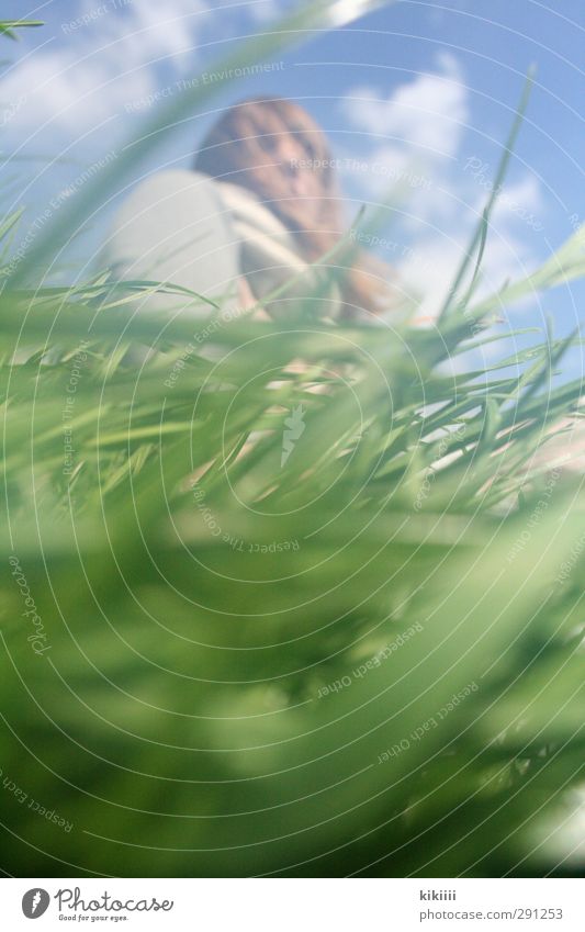 Froschperspektive Mädchen Gras grün Wiese Himmel unten Wind wehen Halm Blick Sommer Schwache Tiefenschärfe Unschärfe