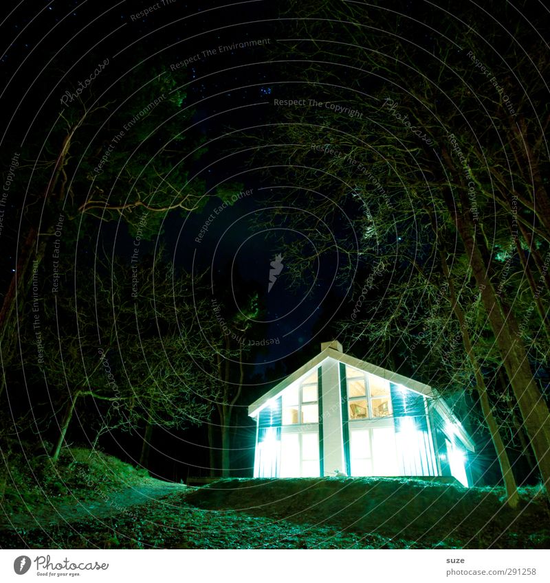 Die Besucher Ferien & Urlaub & Reisen Haus Umwelt Natur Landschaft Urelemente Nachthimmel Klima Baum Wald Einfamilienhaus Hütte leuchten außergewöhnlich dunkel