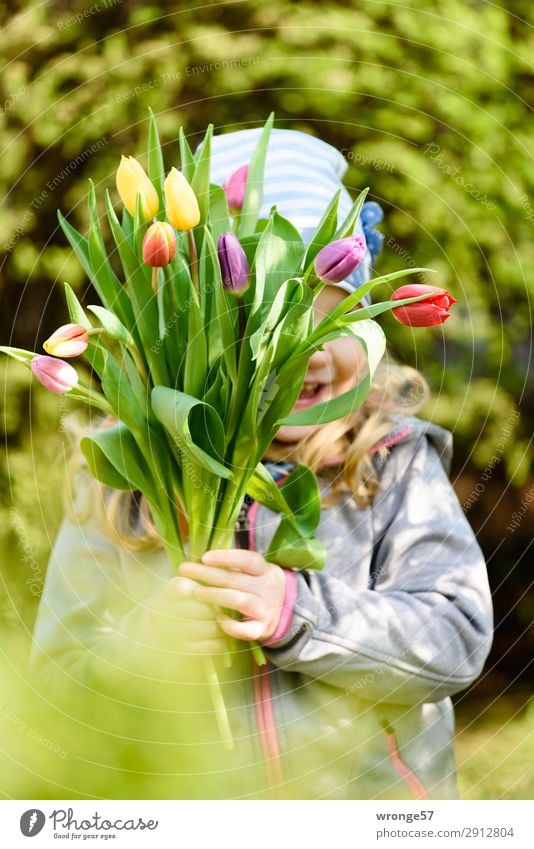 Blümchen zum Muttertag Mensch Kind Mädchen 1 3-8 Jahre Kindheit Blume Tulpe mehrfarbig Freude Glück Fröhlichkeit Frühlingsgefühle Blumenstrauß Tulpenblüte