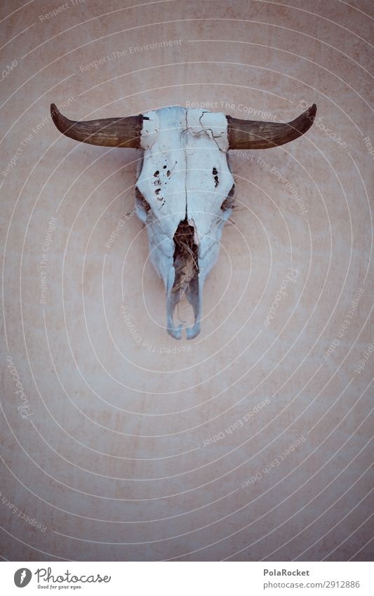 #A# spooky Kunst ästhetisch Tierschädel Tod Todesarten Todesblick Todeskampf Dekoration & Verzierung Horn Wilder Westen trocken Wüste gefährlich Ende Game over