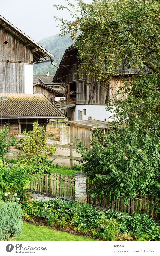 Alte Bauernhäuser und Bauerngärten in einem Bergtal in Südtirol Ackerbau alpin Alpen Hochpustertal Apfel Architektur Scheune Gebäude Bauernhof Zaun Garten