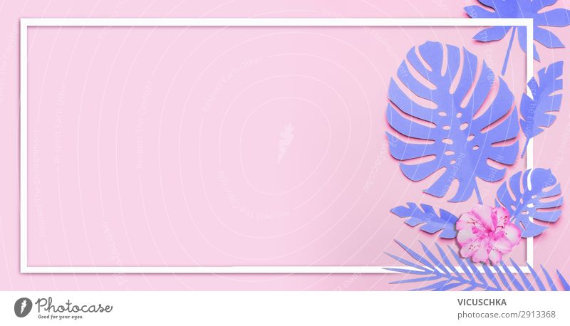 Rosa Hintergrund mit lila tropischen Blättern Stil Design Freude Sommer Natur Pflanze Blatt Dekoration & Verzierung Blumenstrauß trendy violett rosa Stimmung