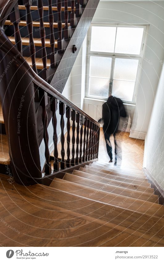 Arbeiten gehen Mann Erwachsene 1 Mensch Treppe Treppenhaus rennen Geschwindigkeit Bewegung Stress Farbfoto Innenaufnahme Textfreiraum unten Bewegungsunschärfe