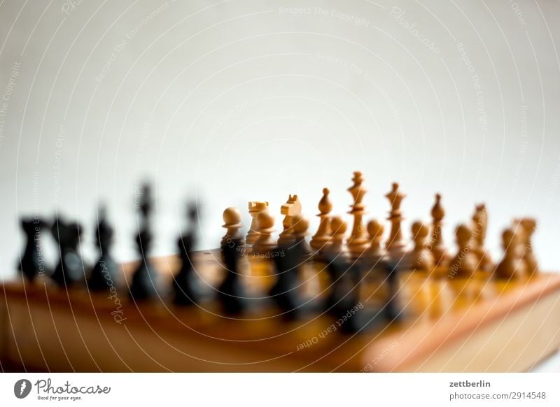 Schachspiel Anordnung Landwirt Beginn Brettspiel grundaufstellung grundstellung König Schachbrett Schachfigur schwarz Spielen Spieler Spielfigur weiß kämpfen