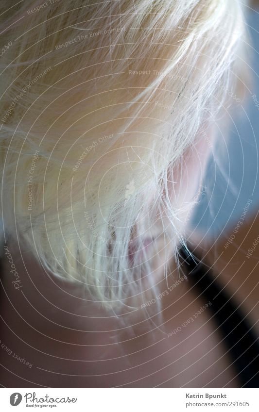 Heavy Rope Mensch androgyn Haare & Frisuren 1 18-30 Jahre Jugendliche Erwachsene blond Erotik schön geheimnisvoll Schutz Gedeckte Farben Innenaufnahme