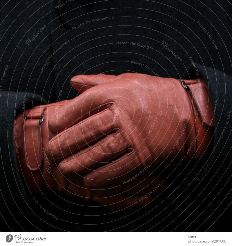 Lederhandschuhe, gekreuzt Mensch Hand Finger 1 Schutzbekleidung Mantel Stoff Handschuhe Schnalle Textilien festhalten ästhetisch braun schwarz Verantwortung
