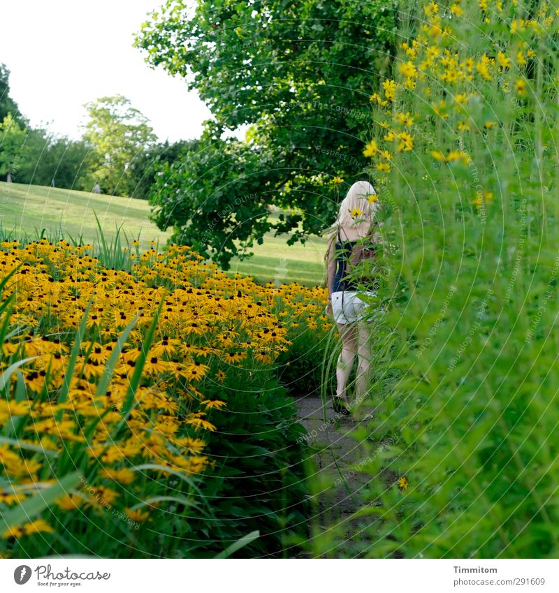 Ein guter Weg. Sommer Mensch feminin Junge Frau Jugendliche 1 Pflanze Baum Blume Sträucher Blüte Garten Park gehen frisch natürlich gelb grün Gefühle