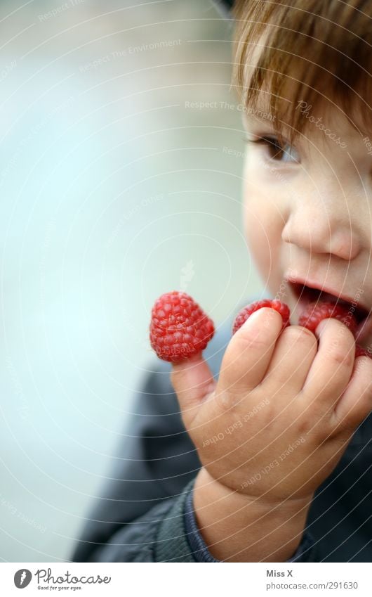 Loisl braucht mehr Sommer Lebensmittel Frucht Ernährung Essen Bioprodukte Mensch Kind Kleinkind 1 1-3 Jahre frisch lecker niedlich saftig süß rot Finger
