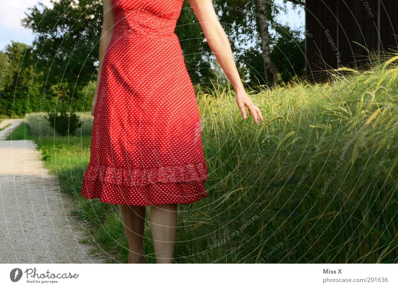 Sommertag Mensch Junge Frau Jugendliche 1 18-30 Jahre Erwachsene Feld Kleid schön rot Weizen Weizenfeld Farbfoto Außenaufnahme Abend Dämmerung Sonnenlicht