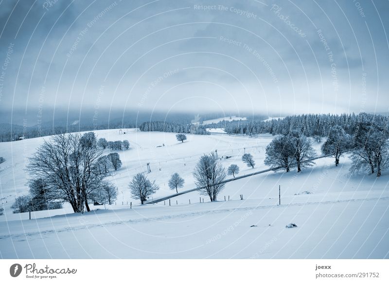 Schauinsland Landschaft Himmel Wolken Horizont Winter Wetter Schnee Baum Feld Hügel Berge u. Gebirge Straße kalt blau schwarz weiß Idylle Farbfoto