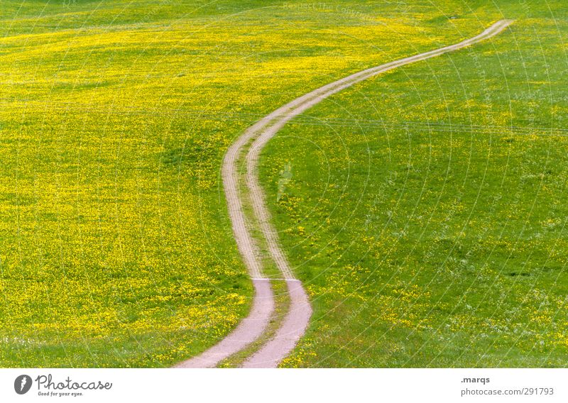 Überland Ausflug Freiheit Sommer Sommerurlaub Karriere Natur Landschaft Pflanze Frühling Schönes Wetter Gras Löwenzahnfeld Wiese Verkehr Verkehrswege