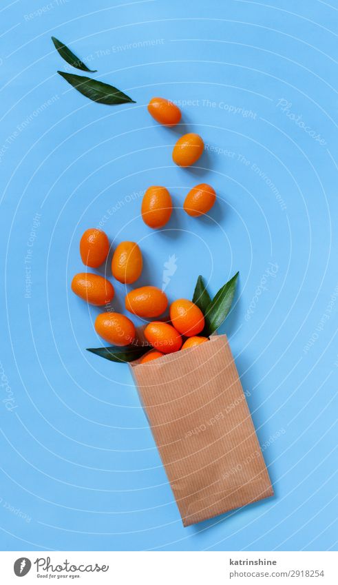 Kumquat-Früchte auf blauem Hintergrund Frucht Ernährung Vegetarische Ernährung Diät exotisch Sommer Menschengruppe frisch modern natürlich saftig gelb Farbe