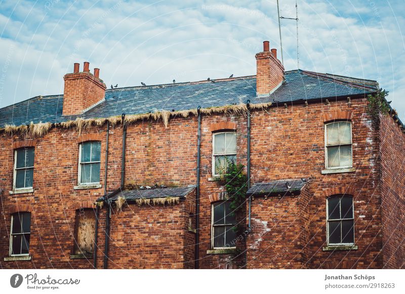 Backsteinfassade Wohnhaus in England Stadt Architektur ästhetisch Großbritannien Leeds Haus Häusliches Leben alt Unbewohnt Fassade Himmel Fenster bewachsen
