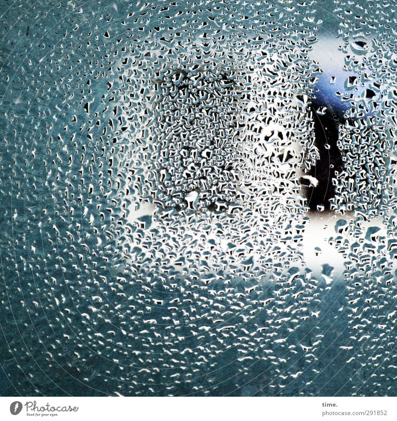 :::: :: Wassertropfen Fassade Fenster Flüssigkeit frisch kalt ästhetisch Leichtigkeit Ordnung ruhig Symmetrie Zeit Kondenswasser Farbfoto Innenaufnahme Muster