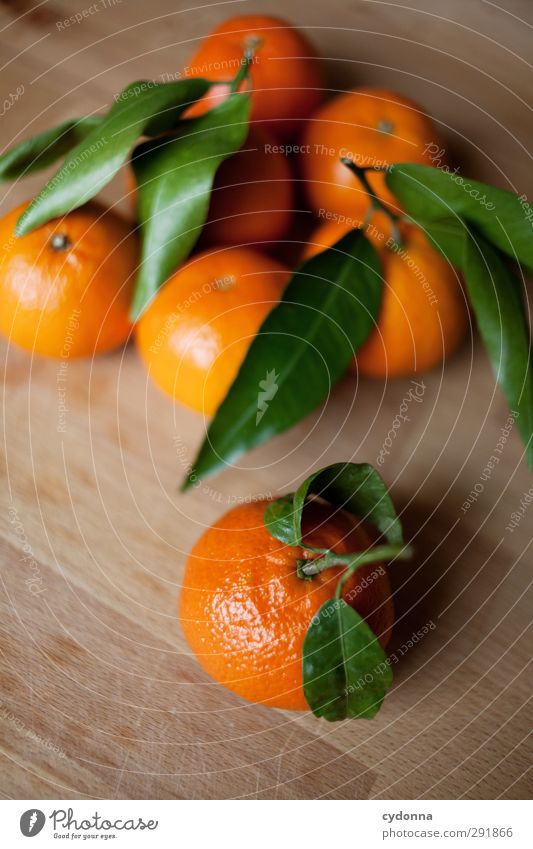 Orangen Lebensmittel Frucht Ernährung Bioprodukte Gesundheit Gesunde Ernährung Beratung Erwartung exotisch Farbe einzigartig Natur Qualität schön Wachstum