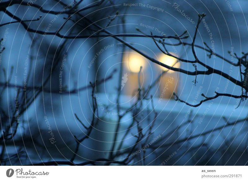 Jemand da? Energiewirtschaft Feierabend Erneuerbare Energie Winter Eis Frost Baum Menschenleer Haus Fassade Fenster Stein Holz beobachten Häusliches Leben kalt
