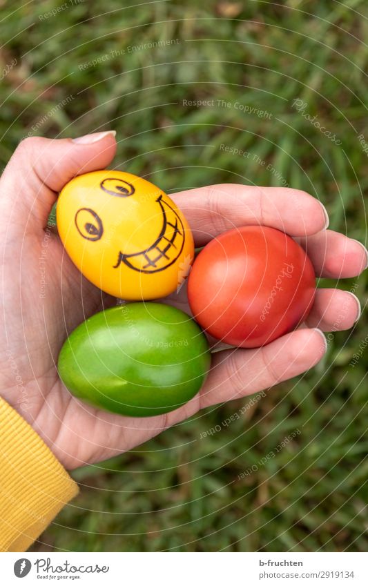 Bunte Ostereier, lachendes gelbes Ei Lebensmittel Ernährung Bioprodukte Mann Erwachsene Hand Finger wählen beobachten festhalten Fröhlichkeit frisch Gesundheit