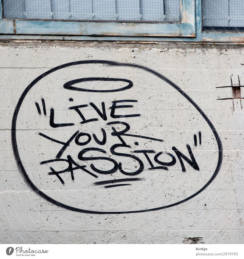 Guter Rat Mauer Wand Beton Metall Schriftzeichen Graffiti authentisch Erfolg positiv blau grau schwarz Lebensfreude Optimismus Mut Weisheit Neugier Hoffnung