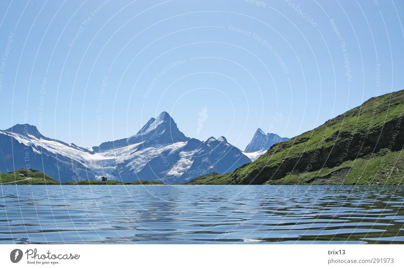Schreckhorn Ausflug Sommer Berge u. Gebirge Natur Landschaft Wasser Himmel Wolkenloser Himmel Alpen blau grün Bachalpsee Grindelwald Farbfoto Außenaufnahme