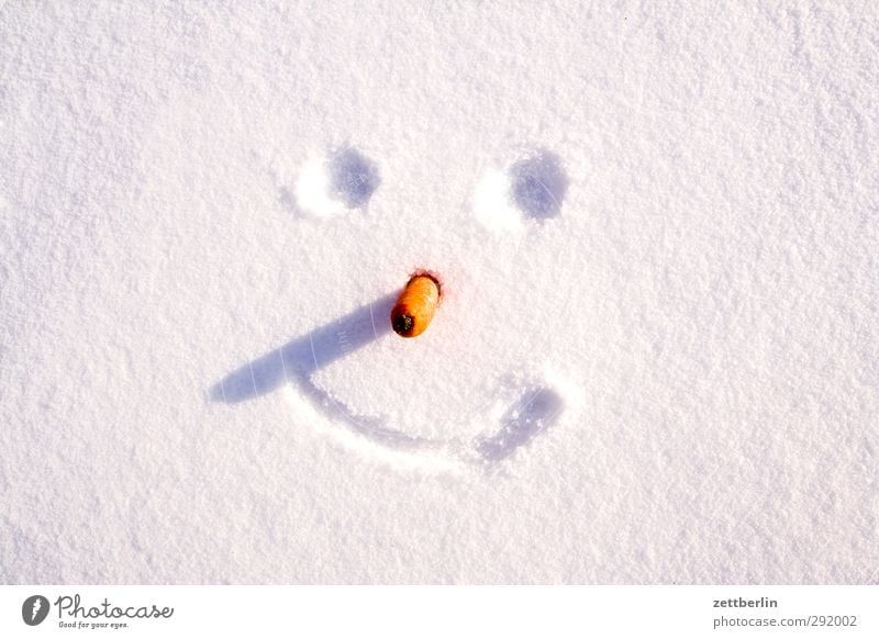 Winter Umwelt Natur Klima Klimawandel Wetter Schönes Wetter Eis Frost Schnee Lächeln lachen kalt Freude Fröhlichkeit Lebensfreude Dezember Januar Schneedecke