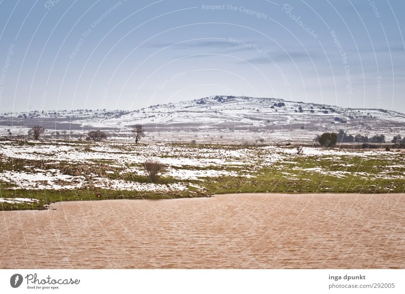 Eintägiger Winter Umwelt Natur Landschaft Pflanze Klima Klimawandel Wetter Gras Seeufer Israel Berge u. Gebirge Schneeschmelze Naher und Mittlerer Osten