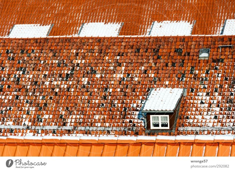 Winterdächer Quedlinburg Deutschland Sachsen-Anhalt Europa Kleinstadt Stadtzentrum Menschenleer Haus Wohnhaus Fenster Dach Häusliches Leben Dachgaube Schnee