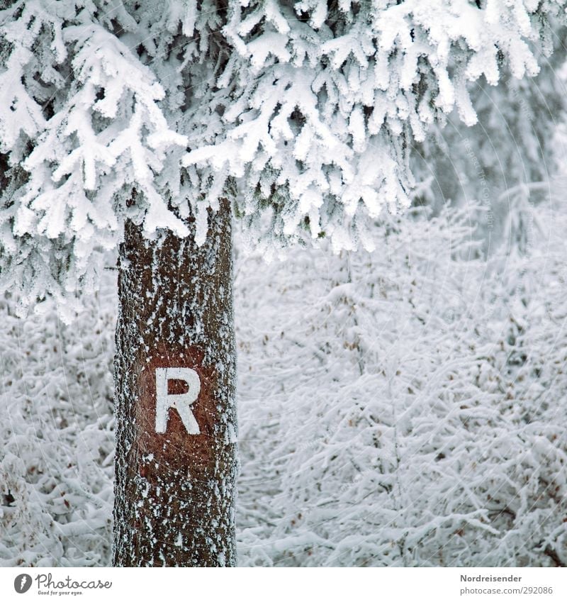 Letzten Sonntag.... ruhig Tourismus Winter Winterurlaub Natur Tier Klima Wetter Eis Frost Schnee Baum Sträucher Wald Holz Zeichen Schriftzeichen