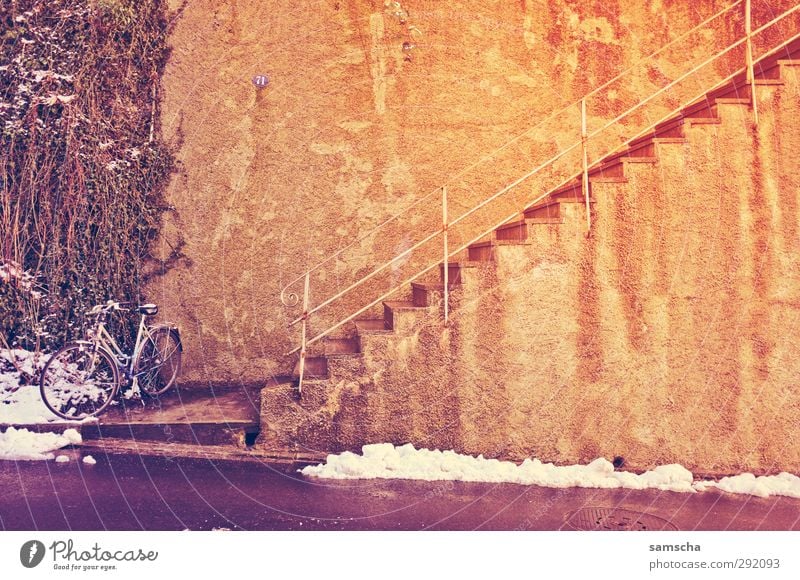 nach oben Lifestyle Fahrradfahren Umwelt Stadt Mauer Wand Verkehrsmittel Stadtzentrum Stadtleben Gemäuer Mauerpflanze Beton Betonwand Betonmauer Treppe